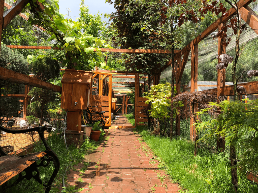 alee cu pomi si decoratiuni organik farm